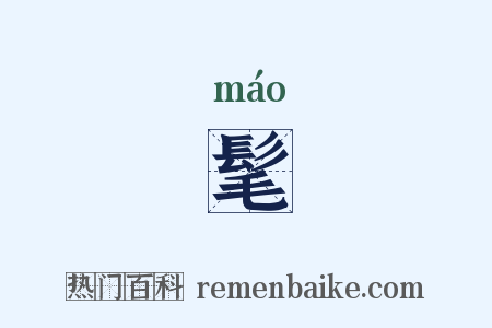 髦是什么意思的图片